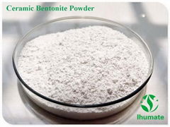 Ceramic white bentonite powder with high plastical