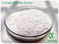 Ceramic white bentonite powder with high plastical 