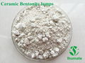 Ceramic white bentonite lumps 1