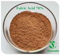 90% Fulvic acid powder  2