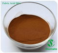 90% Fulvic acid brown yellow powder  1