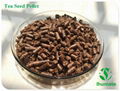 Tea seed meal for kill snail in turf  2