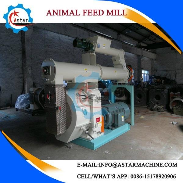 China Supplyer Of Cattle Feed Plant 4