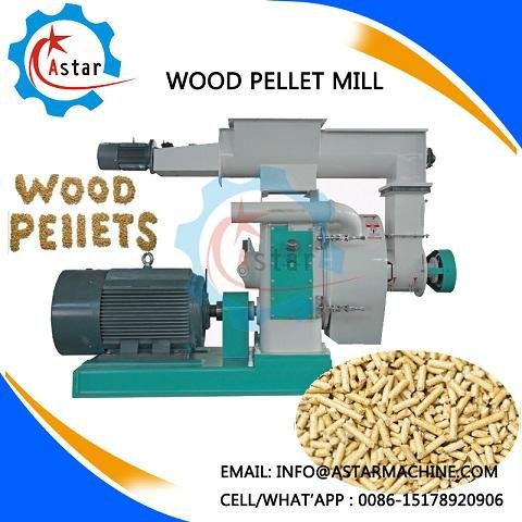 China Supplier Of Biomass Pellet Mill For Sale
