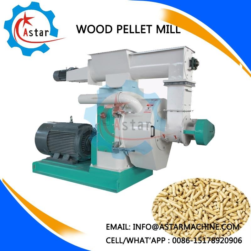 China Supplier Of Biomass Pellet Mill For Sale 2