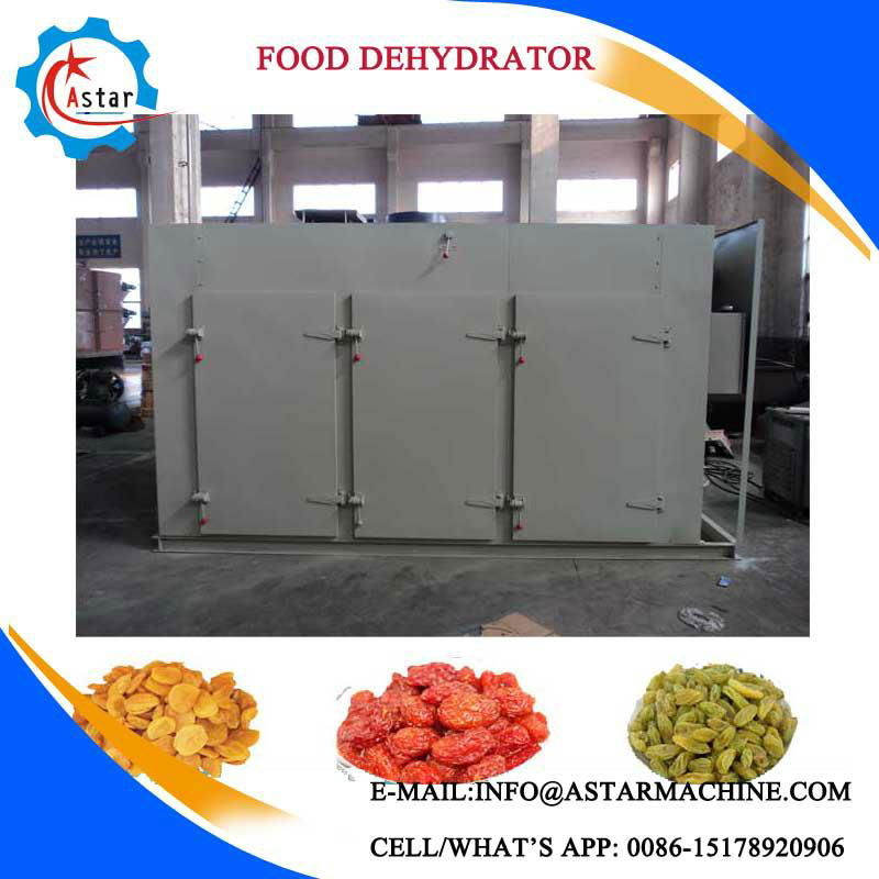 Vegetable And Fruit Food Dryer For Sale 2