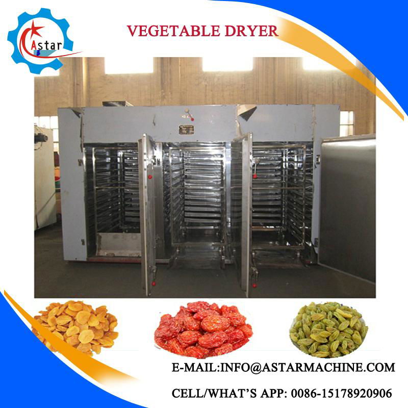 Vegetable And Fruit Food Dryer For Sale 3