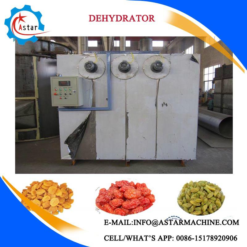 Vegetable And Fruit Food Dryer For Sale 4