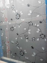 silk screen printed glass