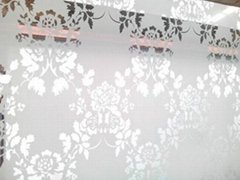Glass Curtain Wall