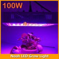 Wifi Control 100W Noah LED Grow Light 2