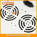 100W Noah LED Grow Light