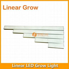 3FT 70W LED Grow Lighting