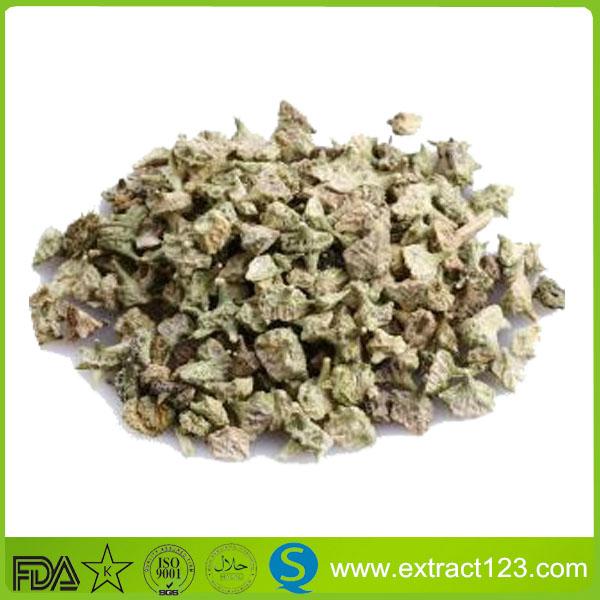 Tribulus Terrestris Extract