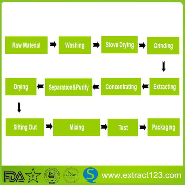 Tribulus Terrestris Extract 2