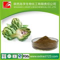 Artichoke Extract 5