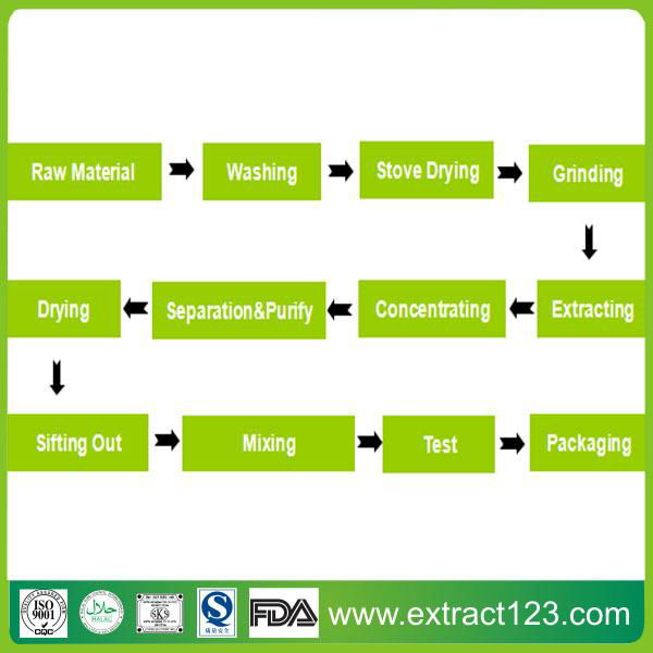 Gentian Root Extract