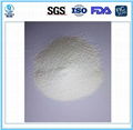 Pure Food Additive Calcium Carbonate Granules  1