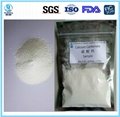 Pure Food Additive Calcium Carbonate Granules  2