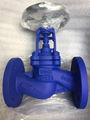 Bellows globe valve