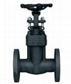 Forged Bellows Seal Globe Valve 1