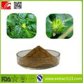 High quality Tribulus Terrestris Extract