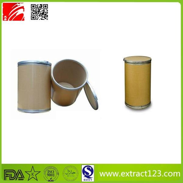 High Quality Cocoa Extract Powder 2