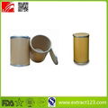 High Quality Cocoa Extract Powder 2