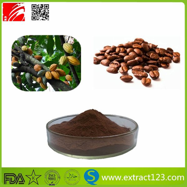 High Quality Cocoa Extract Powder
