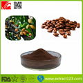 High Quality Cocoa Extract Powder 1