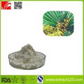 High Quality Saw Palmetto Extract Powder