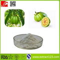 High Quality Garcinia Cambogia Powder