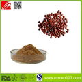 High Quality Chinese Date Seed Extract Powder 1