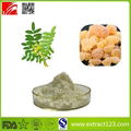 High Quality Boswellia Serrata Extract