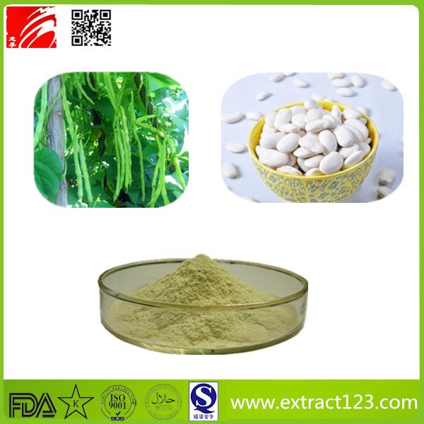 High Qualty White Kidney Bean Extract Powder LXBY170113 LONGFU
