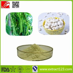 High Qualty White Kidney Bean Extract Powder