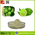 High Quality Lemon Juice Powder  2