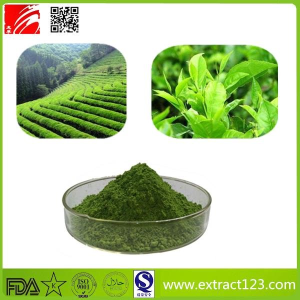 High Quality Green Tea Powder