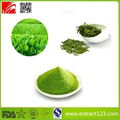 High Quality Matcha Tea Powder