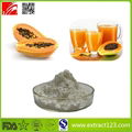 High Quality Papaya Juice Powder 1