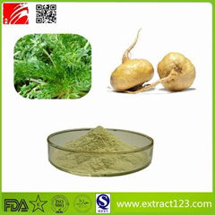 High Quality Maca Extract Powder