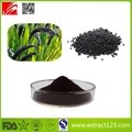 High Quality Black Rice Anthocyanin Extract Powder 1