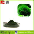 High Quality Chlorella Extract Powder 1