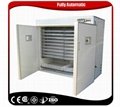 Ce Approved Commercial Poultry Eggs Incubator Machine 