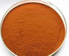 Instant Black Tea Extract Powder