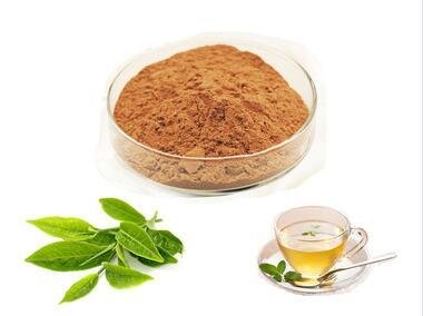 Instant Green Tea Extract Powder 1