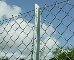 20/100 full automatic chain link fence