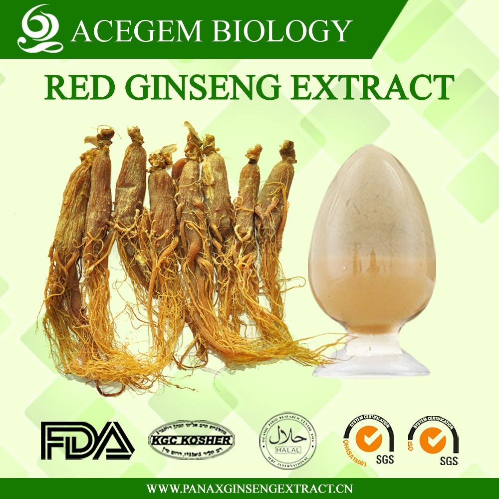Low Pesticide Residue korean Red Ginsenosides 40 percent by HPLC