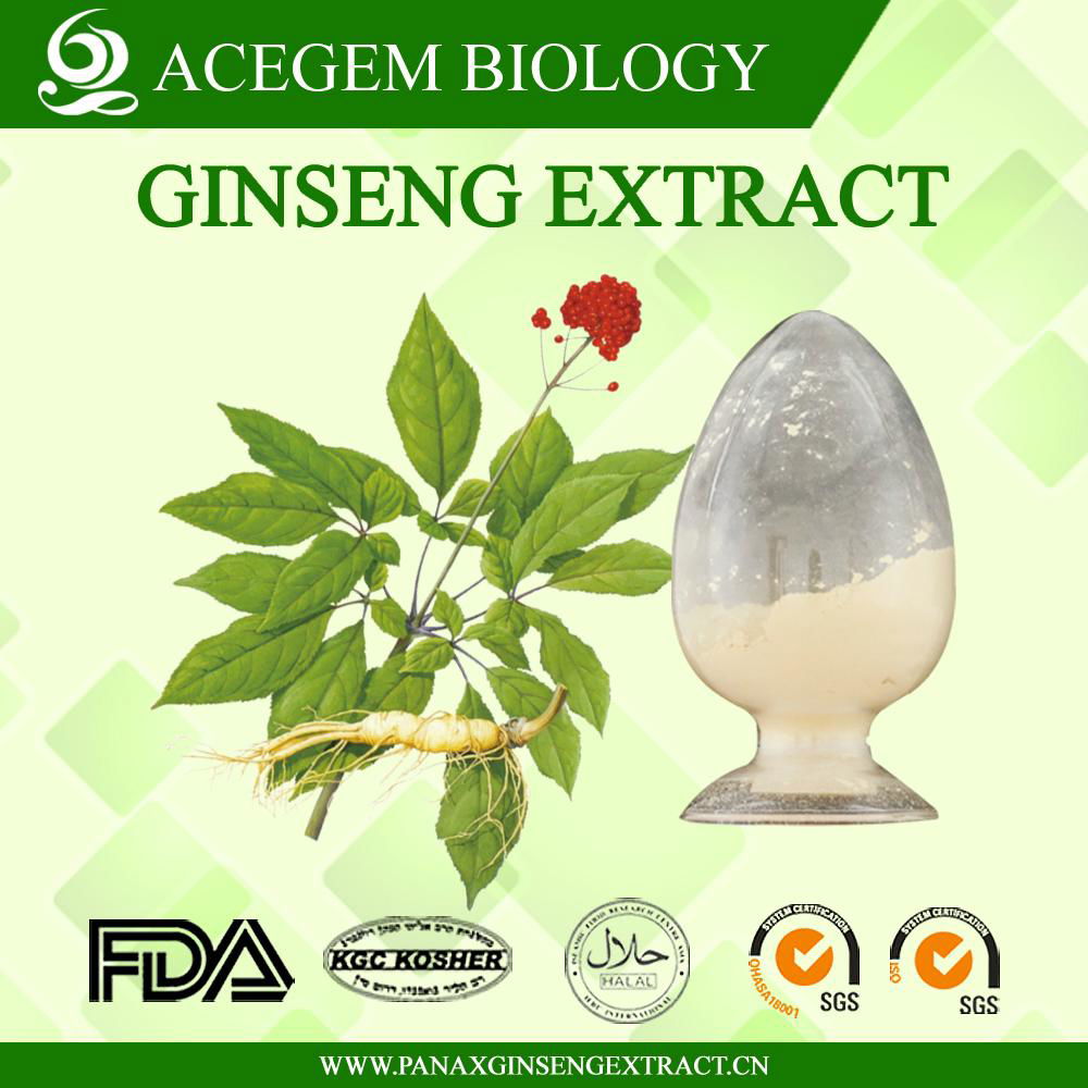 EC396 Standard Panax Ginseng Extract with 20 percent Ginsenosides by HPLC 