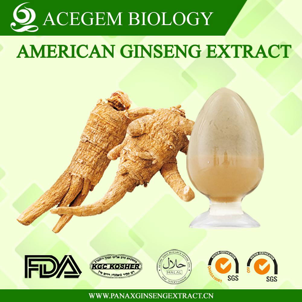 USP38 American Ginseng Root Extract with 1%-20% ginsenosides by HPLC 